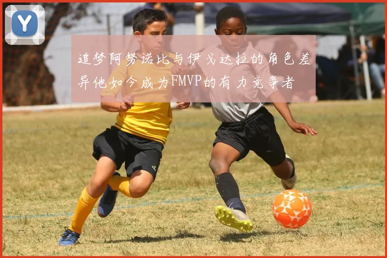 追梦阿努诺比与伊戈达拉的角色差异他如今成为FMVP的有力竞争者